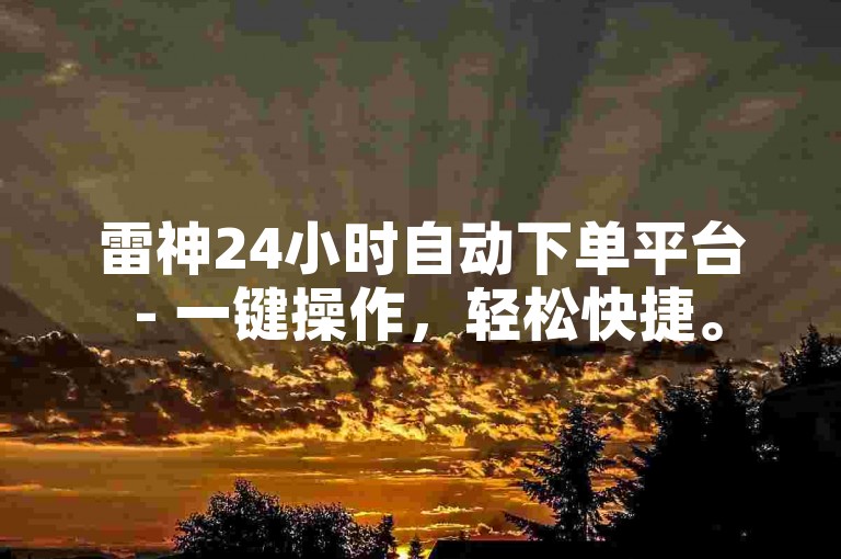 雷神24小时自动下单平台 - 一键操作，轻松快捷。