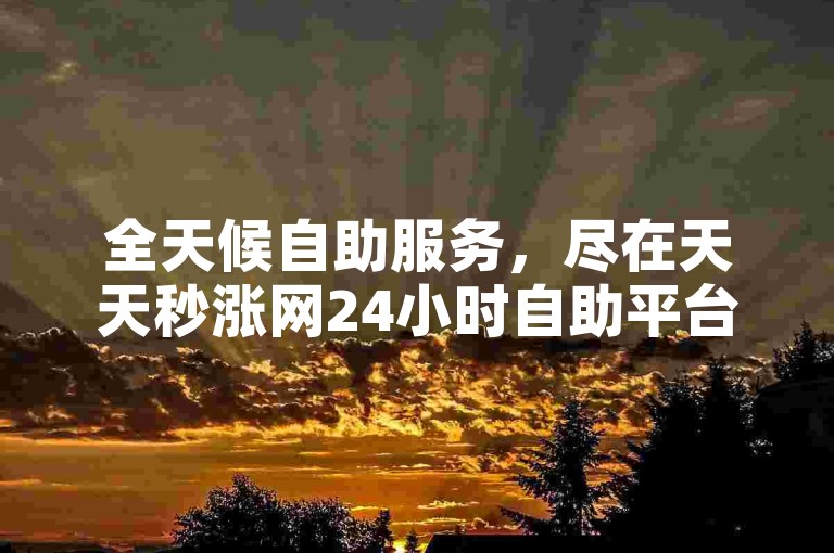 全天候自助服务，尽在天天秒涨网24小时自助平台。