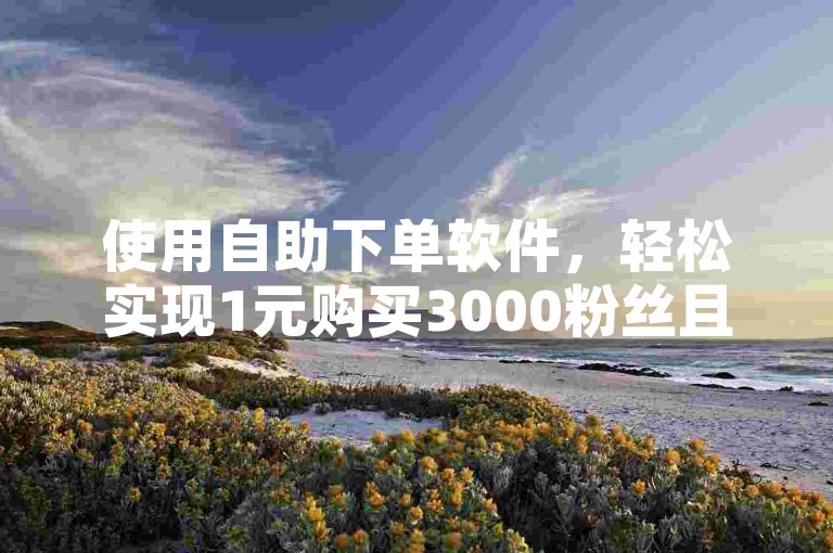 使用自助下单软件，轻松实现1元购买3000粉丝且无掉粉风险 - KS业务平台提供超值低价服务，快手买站仅需一块钱即可获得500粉丝。