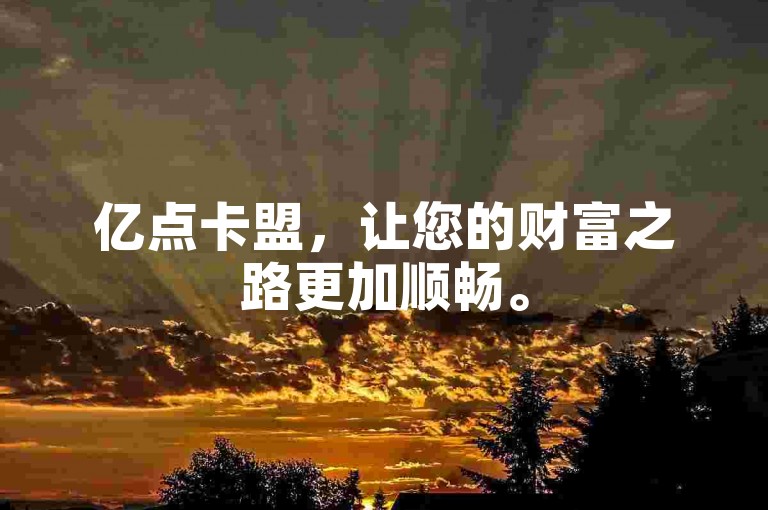 亿点卡盟，让您的财富之路更加顺畅。