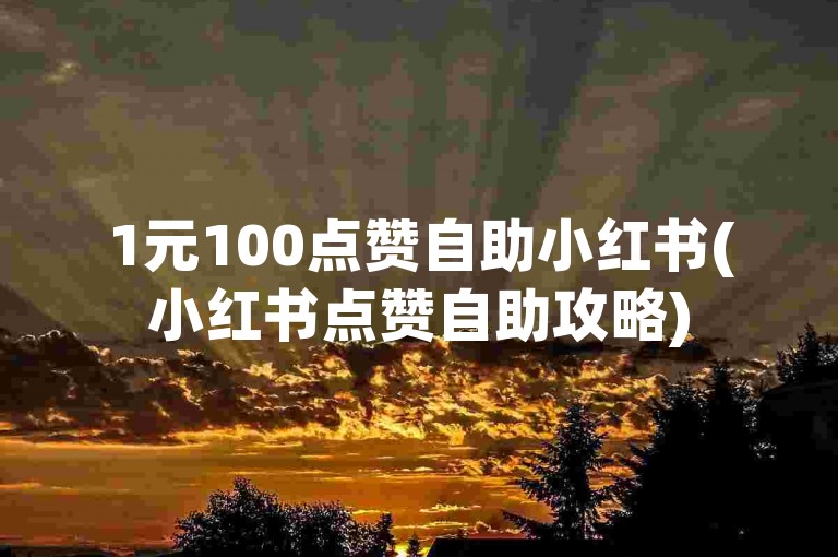1元100点赞自助小红书(小红书点赞自助攻略)