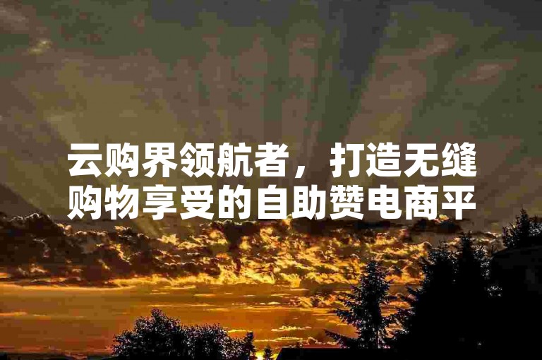云购界领航者，打造无缝购物享受的自助赞电商平台。