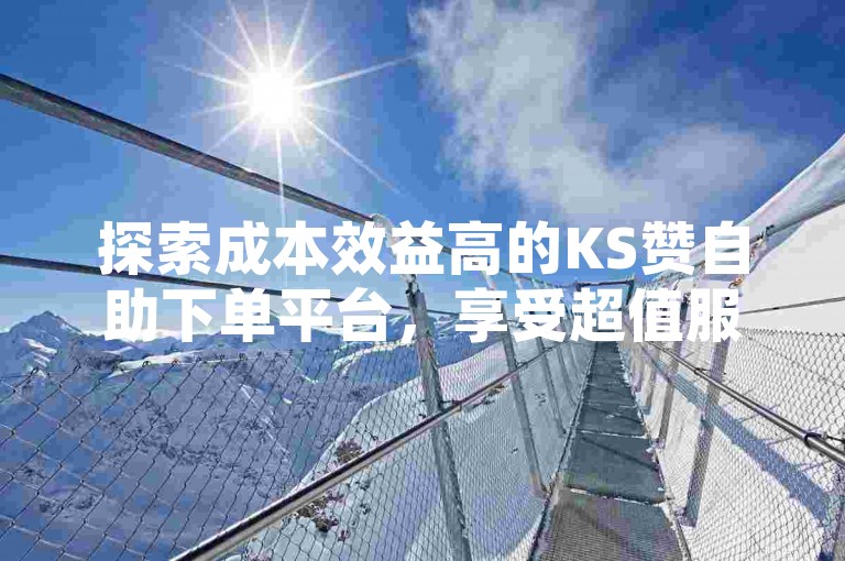 探索成本效益高的KS赞自助下单平台，享受超值服务。