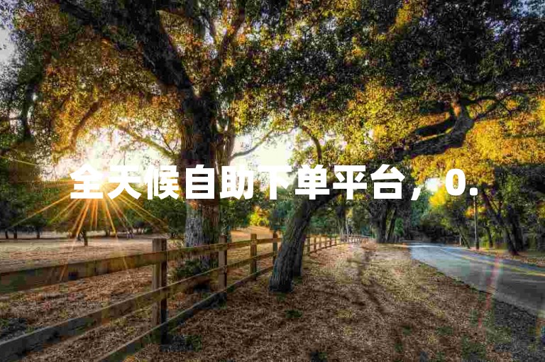全天候自助下单平台，0.5元即可获得1000赞。