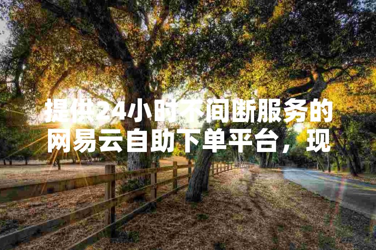 提供24小时不间断服务的网易云自助下单平台，现在也支持免费获取20个ks刷双击的在线资源。