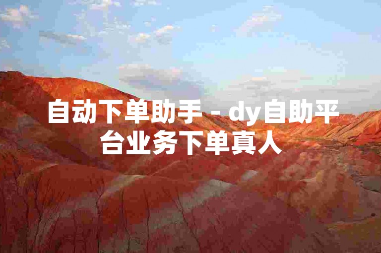 自动下单助手 - dy自助平台业务下单真人