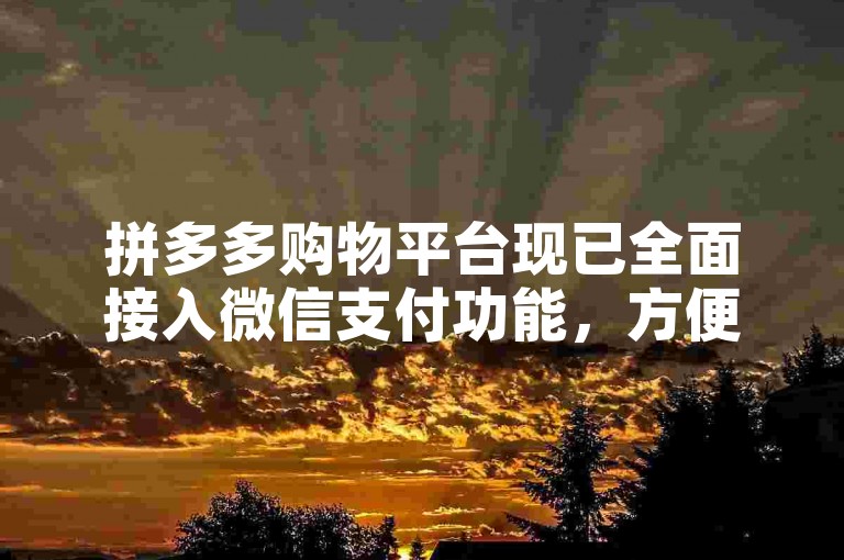 拼多多购物平台现已全面接入微信支付功能，方便用户轻松完成交易。