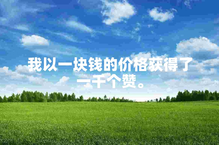 我以一块钱的价格获得了一千个赞。