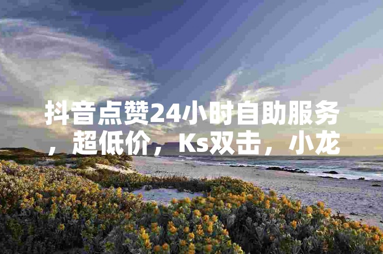 抖音点赞24小时自助服务，超低价，Ks双击，小龙秒赞网。