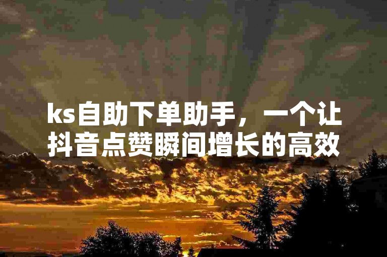 ks自助下单助手，一个让抖音点赞瞬间增长的高效平台。
