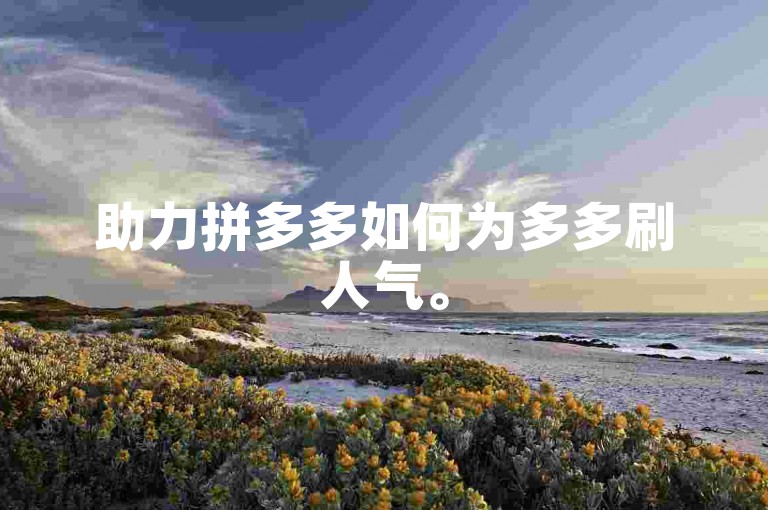 助力拼多多如何为多多刷人气。
