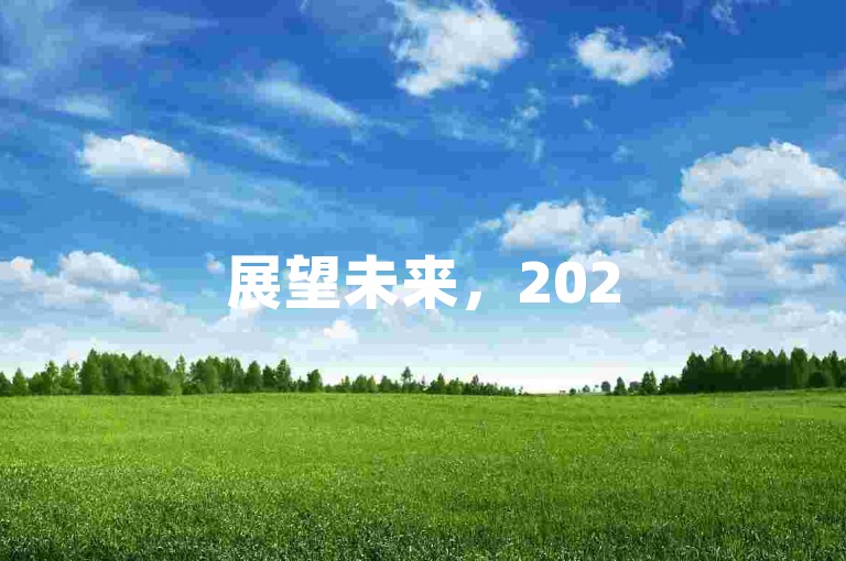 展望未来，2025年拼多多的砍一刀活动将需要多少参与者才能达成目标？