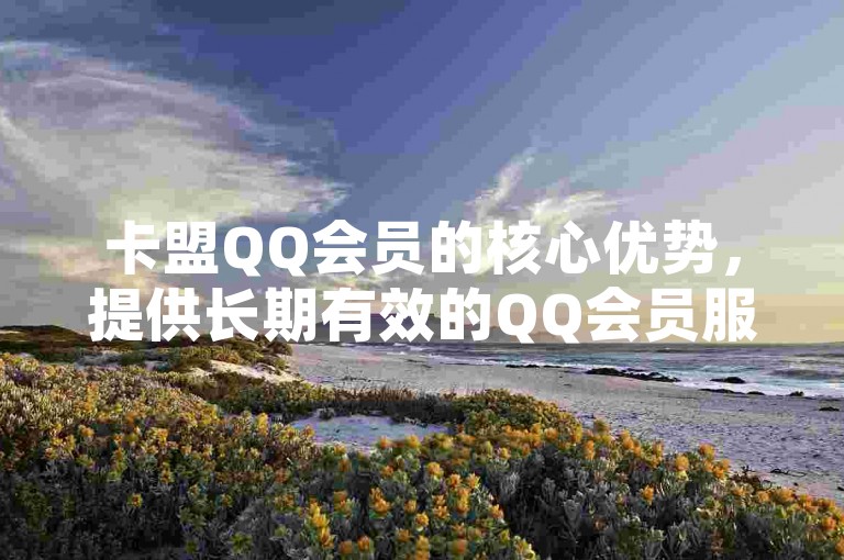 卡盟QQ会员的核心优势，提供长期有效的QQ会员服务，助力新人快速成长！