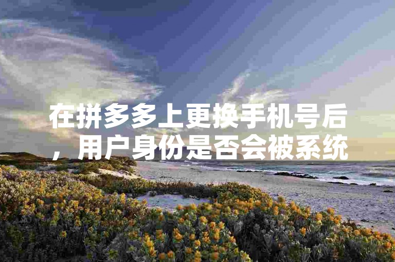 在拼多多上更换手机号后，用户身份是否会被系统认定为新用户，这取决于平台的具体政策和技术实现。