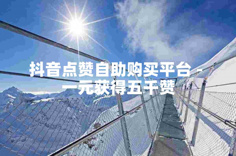 抖音点赞自助购买平台 - 一元获得五千赞