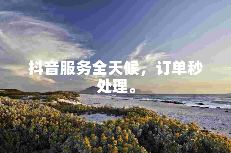 抖音服务全天候，订单秒处理。