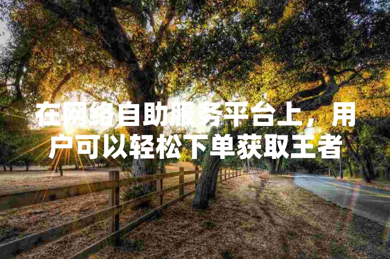 在网络自助服务平台上，用户可以轻松下单获取王者荣耀游戏点赞服务，仅需1元即可获得10000赞；同时，拼多多的助力活动也能通过该平台购买助力；此外，抖音（dy）实名认证的小号亦可在此购得。