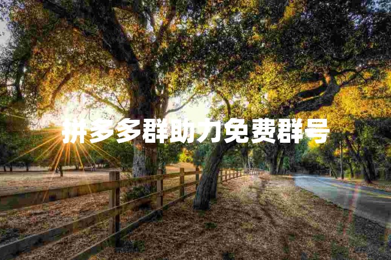 拼多多群助力免费群号