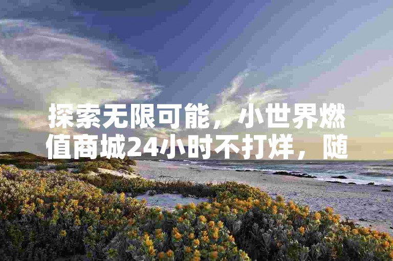 探索无限可能，小世界燃值商城24小时不打烊，随时自助下单，点燃你的生活激情！