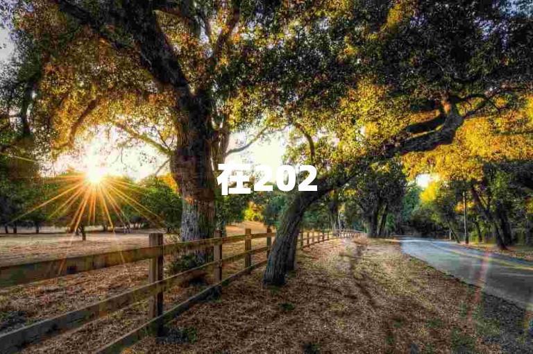 在2025年，拼多多将推出一系列新功能来助力新人用户。