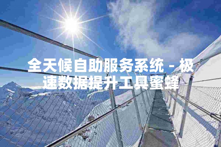 全天候自助服务系统 - 极速数据提升工具蜜蜂