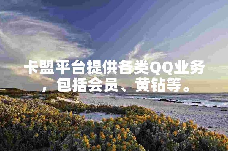 卡盟平台提供各类QQ业务，包括会员、黄钻等。