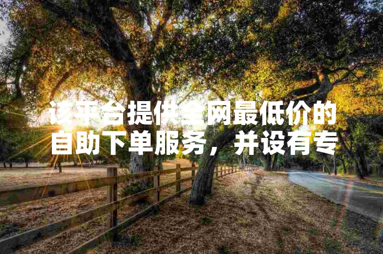 该平台提供全网最低价的自助下单服务，并设有专为抖音用户打造的自助网站，方便快捷。