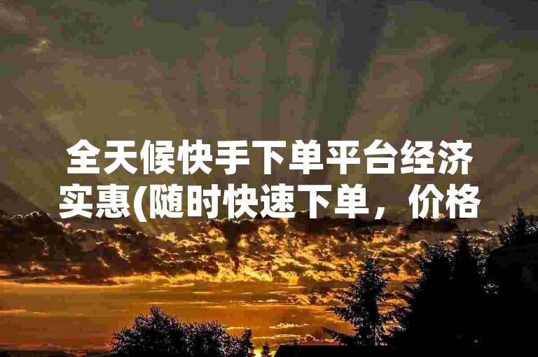 全天候快手下单平台经济实惠(随时快速下单，价格亲民)