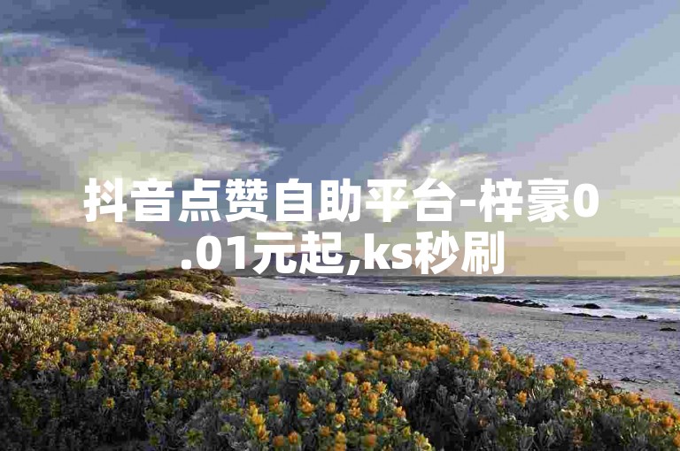 抖音点赞自助平台-梓豪0.01元起,ks秒刷5000赞服务上线。