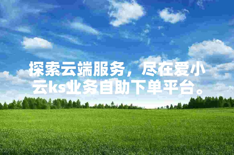 探索云端服务，尽在爱小云ks业务自助下单平台。