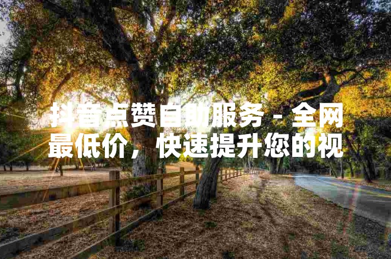 抖音点赞自助服务 - 全网最低价，快速提升您的视频人气。