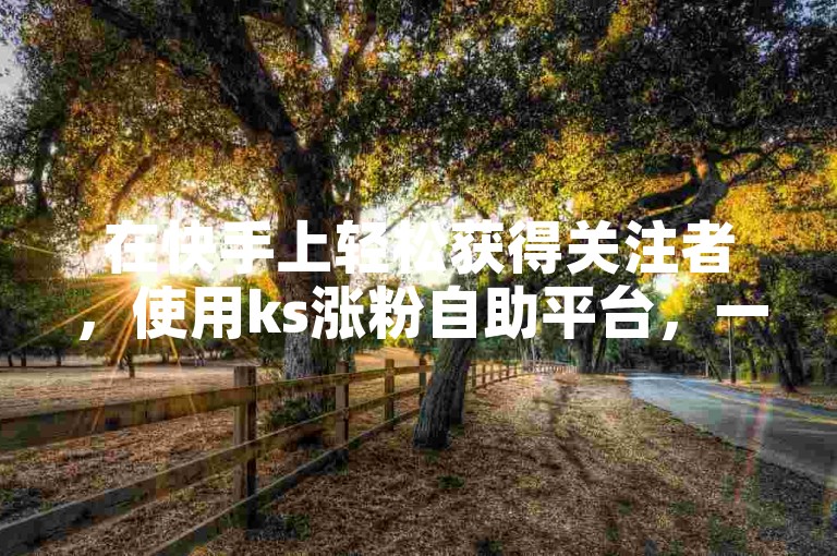 在快手上轻松获得关注者，使用ks涨粉自助平台，一键操作，快速提升你的播放量和人气。