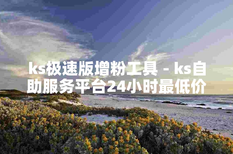 ks极速版增粉工具 - ks自助服务平台24小时最低价。