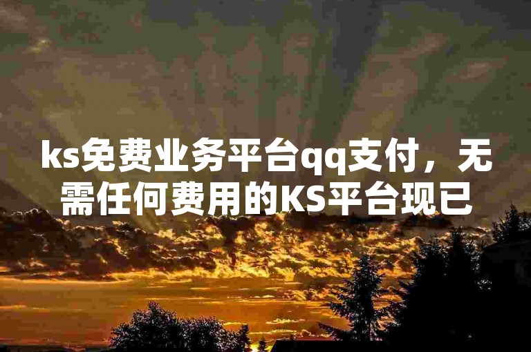 ks免费业务平台qq支付，无需任何费用的KS平台现已完美兼容QQ支付选项。