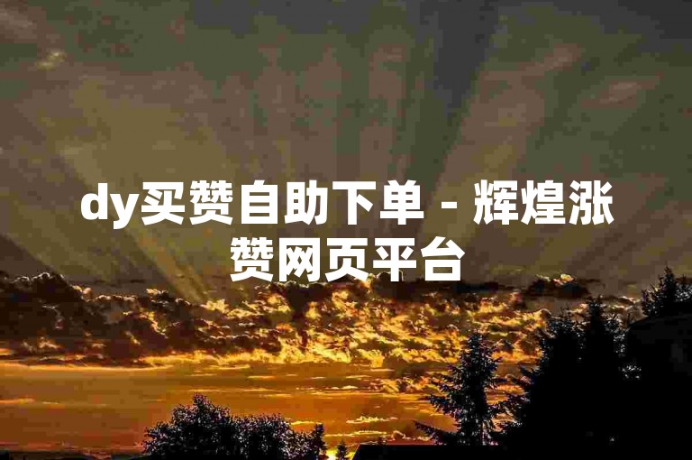 dy买赞自助下单 - 辉煌涨赞网页平台