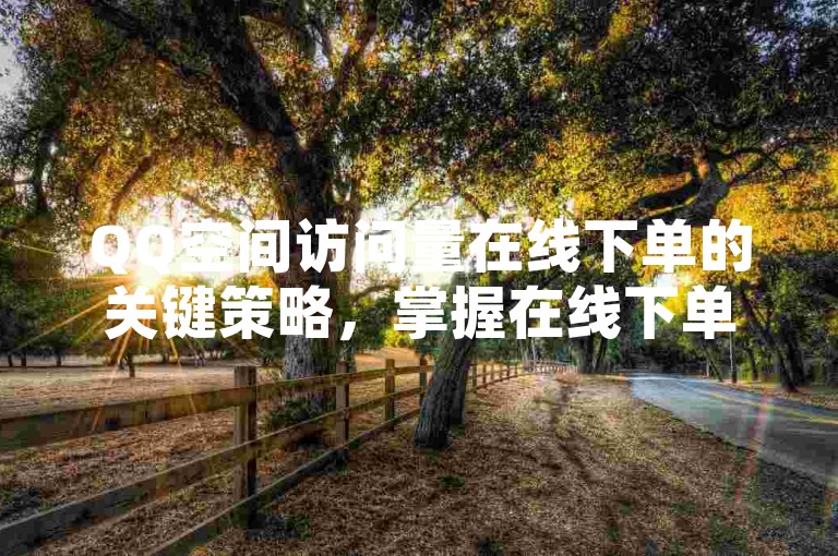 QQ空间访问量在线下单的关键策略，掌握在线下单技巧，轻松提升QQ空间人气！新手必知！