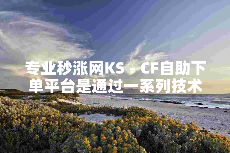 专业秒涨网KS - CF自助下单平台是通过一系列技术手段和操作流程，实现了用户在平台上自主下单、支付并获取相应服务的功能。