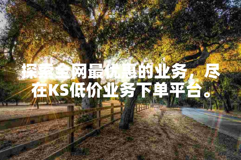 探索全网最优惠的业务，尽在KS低价业务下单平台。