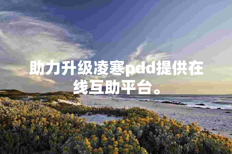 助力升级凌寒pdd提供在线互助平台。