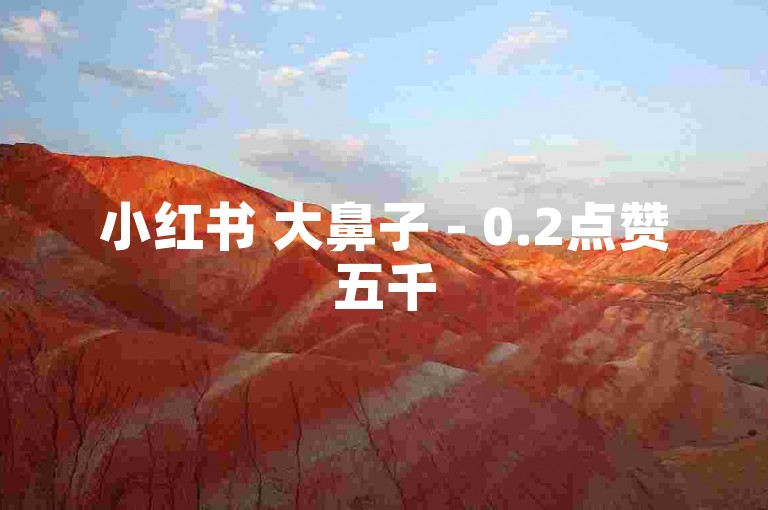 小红书 大鼻子 - 0.2点赞五千