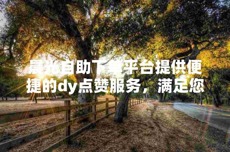 晨光自助下单平台提供便捷的dy点赞服务，满足您的业务需求。