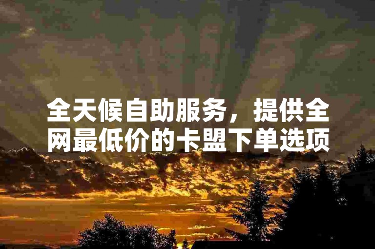 全天候自助服务，提供全网最低价的卡盟下单选项，包括24小时不间断的Q币充值服务，以及QQ资料卡点赞和QQ空间业务平台的便捷操作。