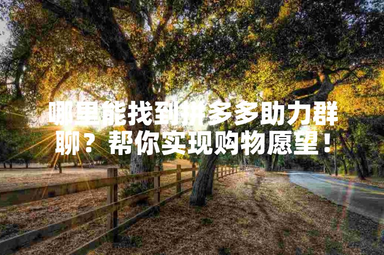 哪里能找到拼多多助力群聊？帮你实现购物愿望！