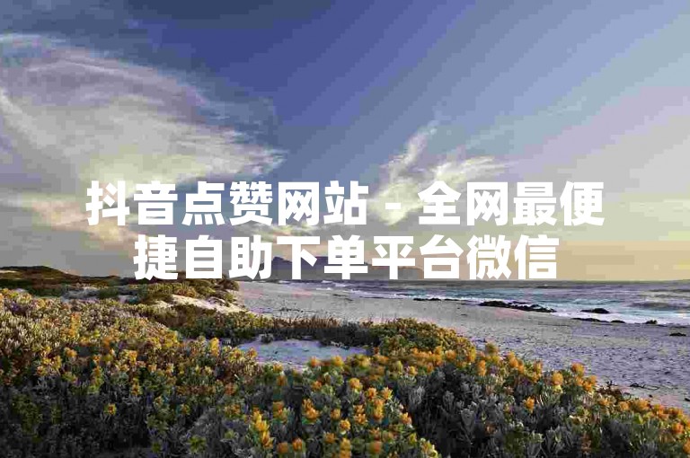 抖音点赞网站 - 全网最便捷自助下单平台微信
