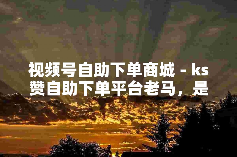 视频号自助下单商城 - ks赞自助下单平台老马，是一个提供便捷服务的平台。