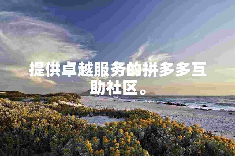 提供卓越服务的拼多多互助社区。