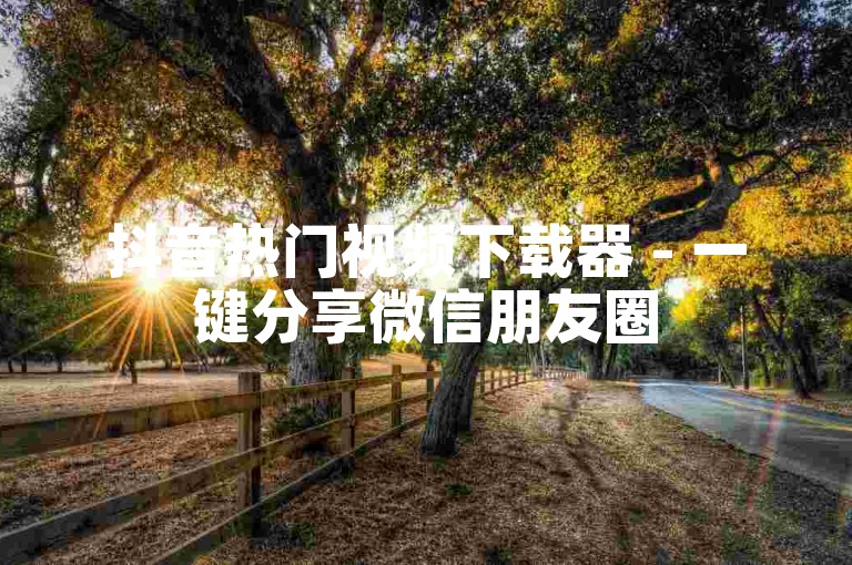 抖音热门视频下载器 - 一键分享微信朋友圈