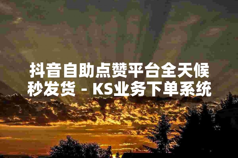 抖音自助点赞平台全天候秒发货 - KS业务下单系统。
