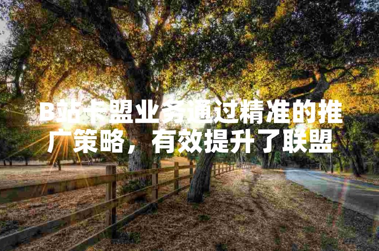 B站卡盟业务通过精准的推广策略，有效提升了联盟成员的业务效果。