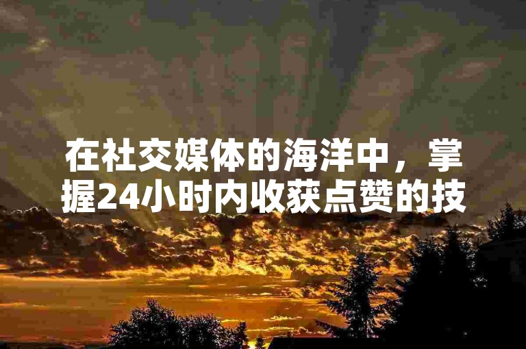 在社交媒体的海洋中，掌握24小时内收获点赞的技巧，就像是拥有了一把开启热门话题之门的钥匙。